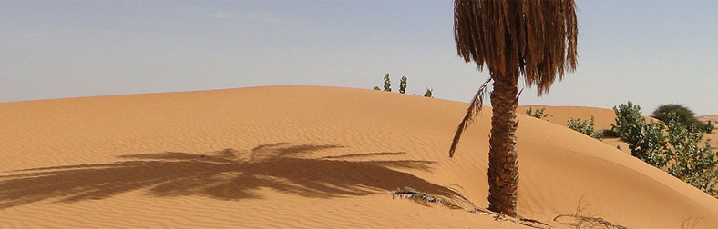 Ship To Mauritania