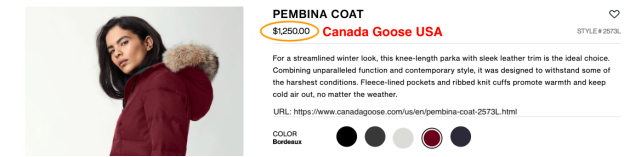 canada-goose-USA canada-goose