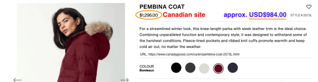 canada-goose-canada canada-goose