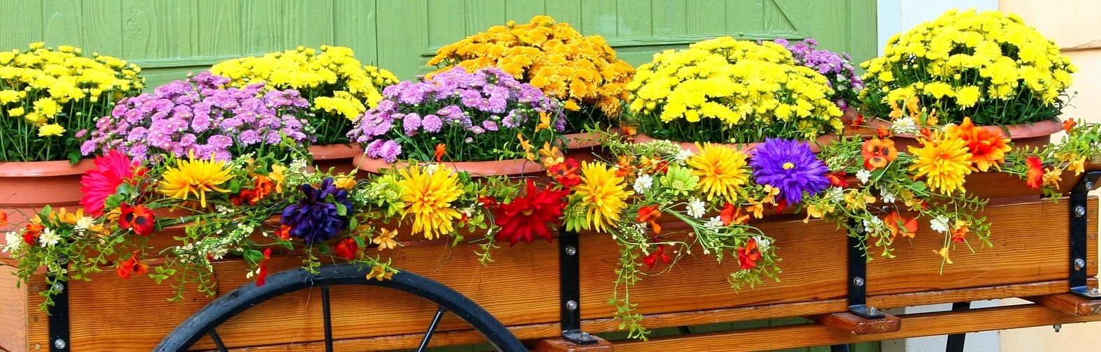 The Best Garden Gear in Canada shipping forwarderÂ 